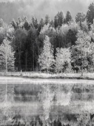 Schwarzsee im Herbst von Kurt Tropper